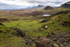 1_IMG_20190430_153640